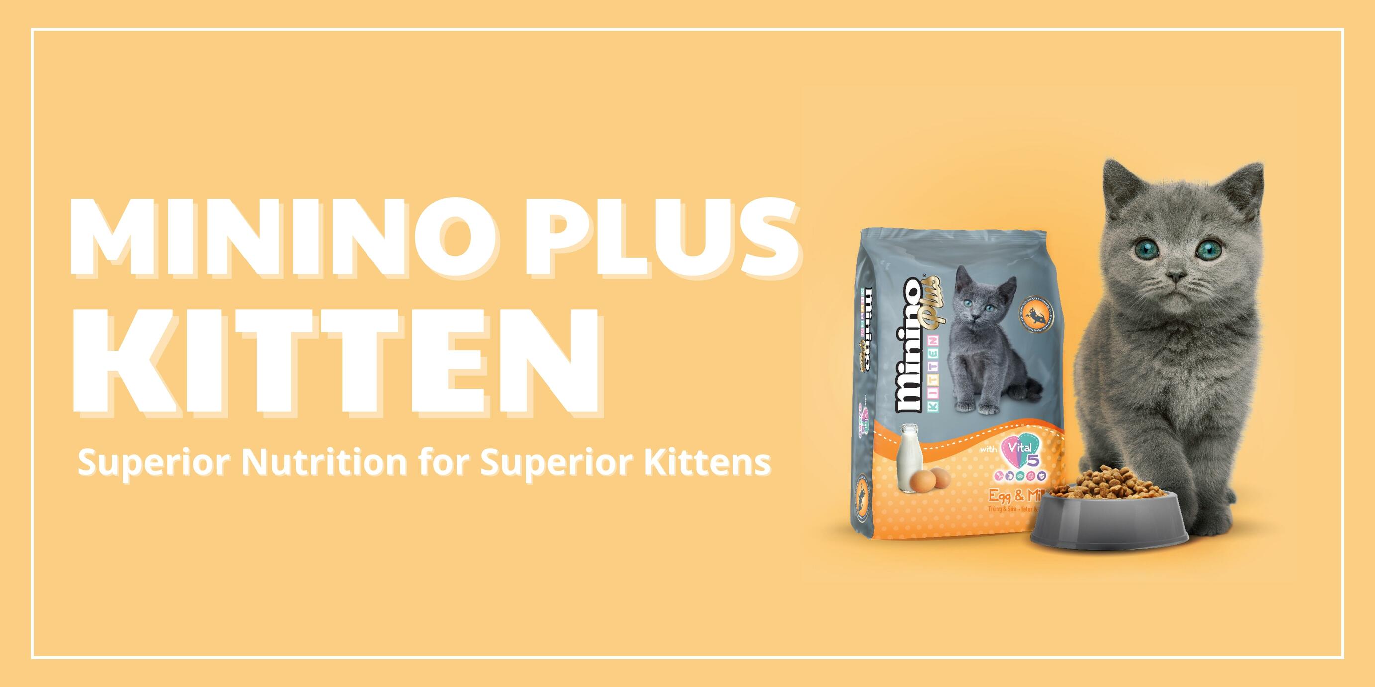 minino plus cat food